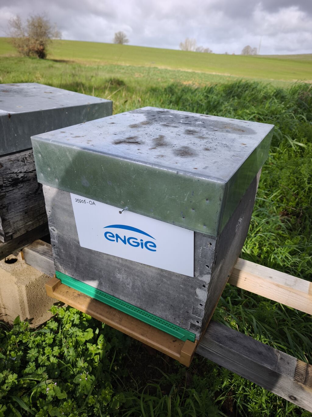 La ruche ENGIE - MPPA