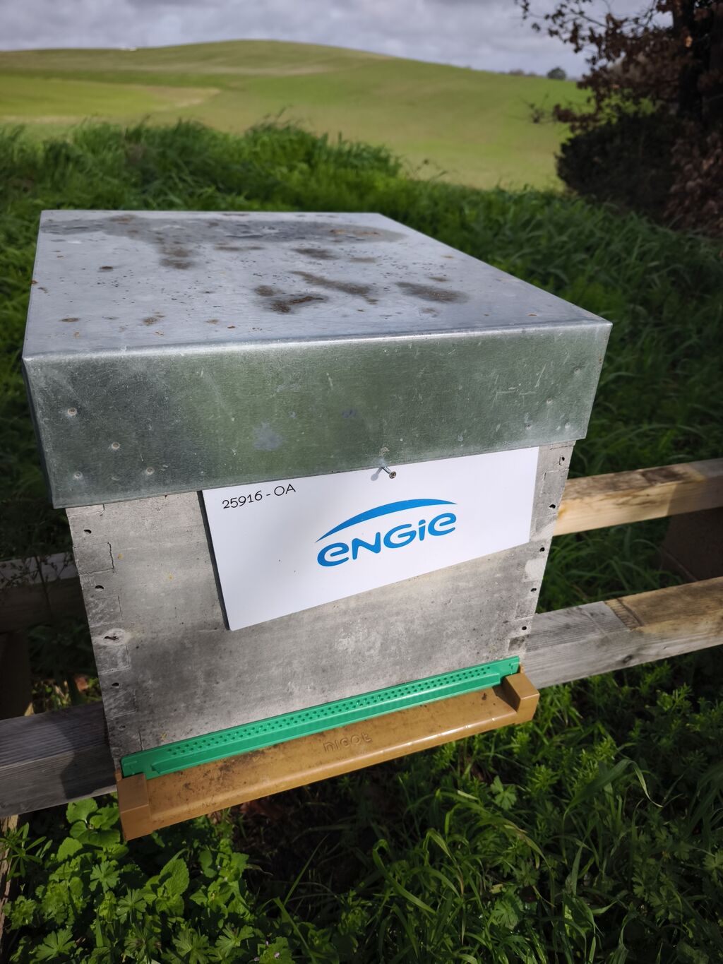 La ruche ENGIE - MPPA