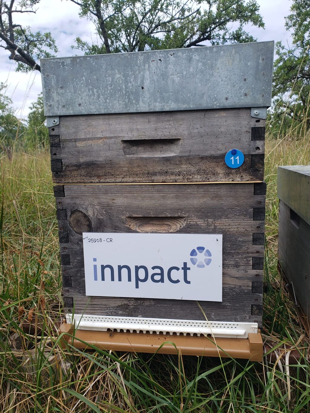 La ruche Innpact