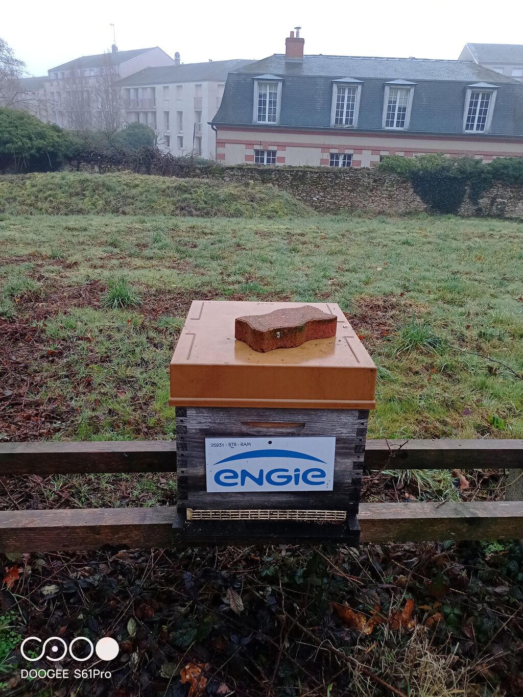 La ruche ENGIE - MPPA