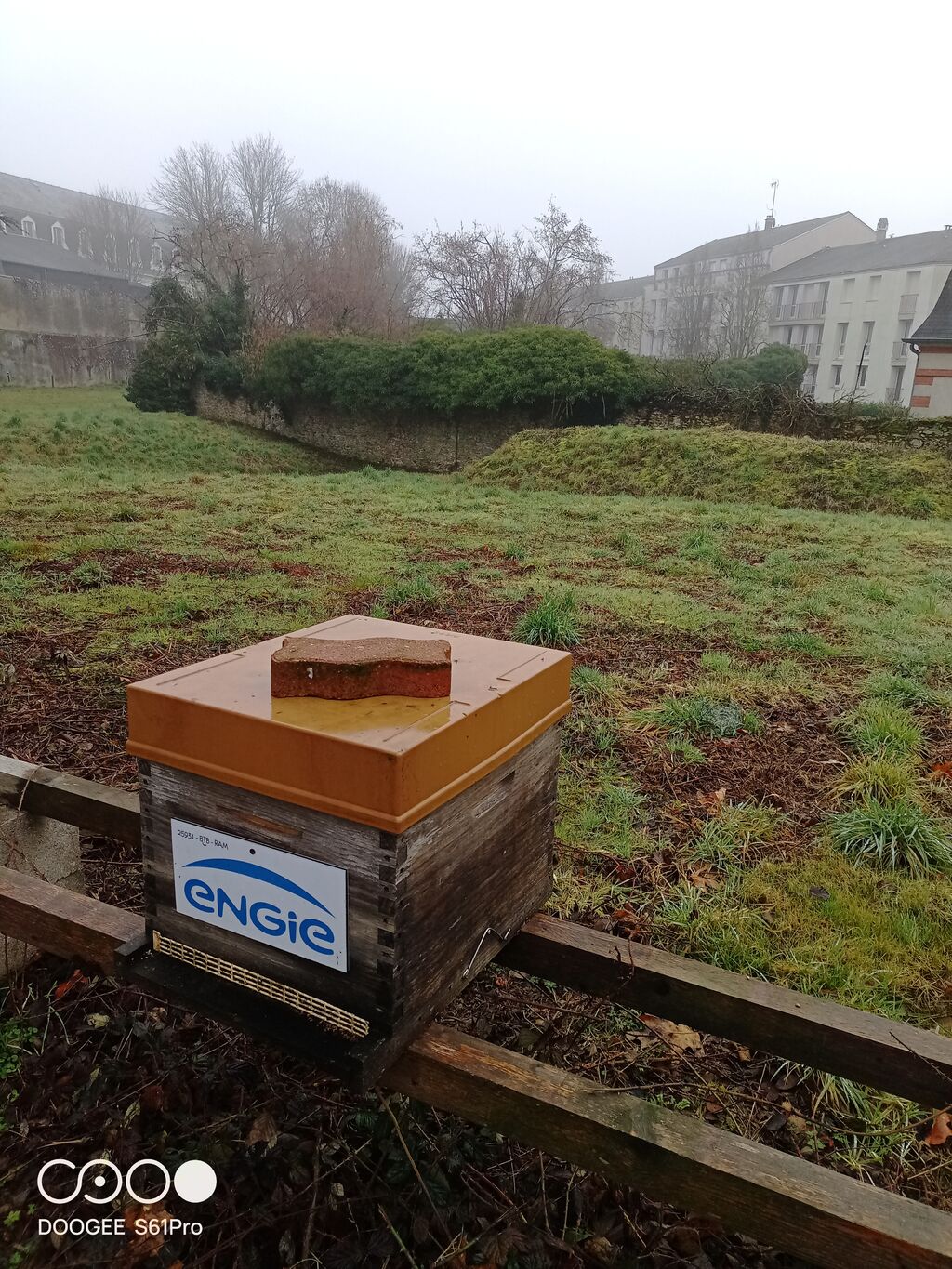 La ruche ENGIE - MPPA