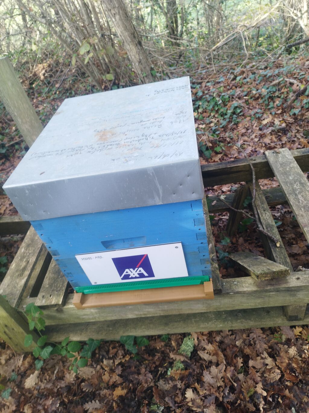 La ruche AXA au Cœur des Territoires (ACT)