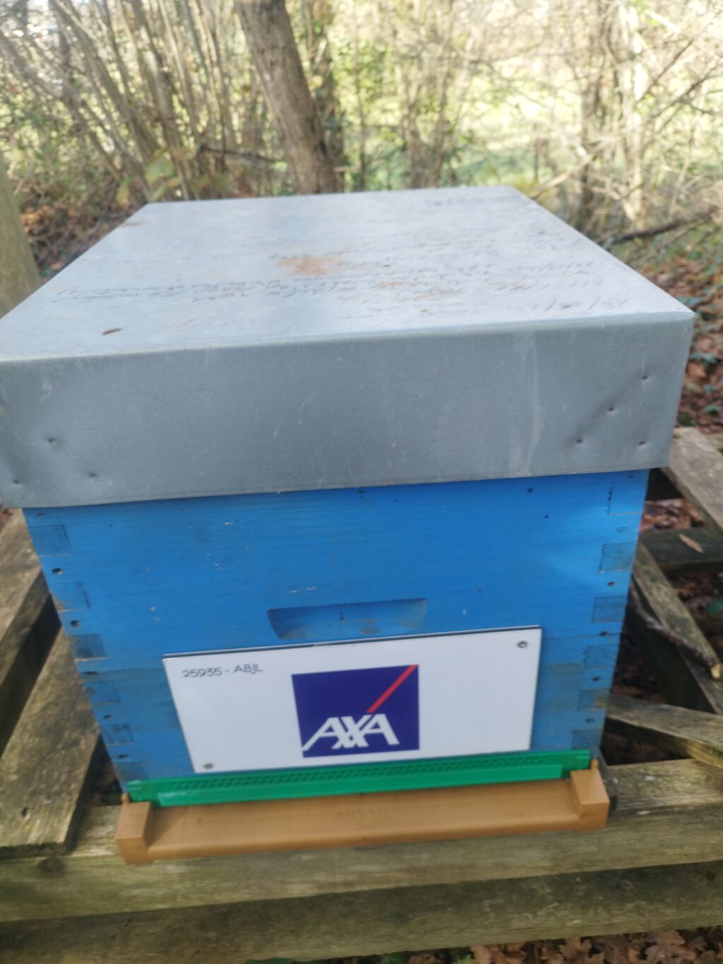 La ruche AXA au Cœur des Territoires (ACT)