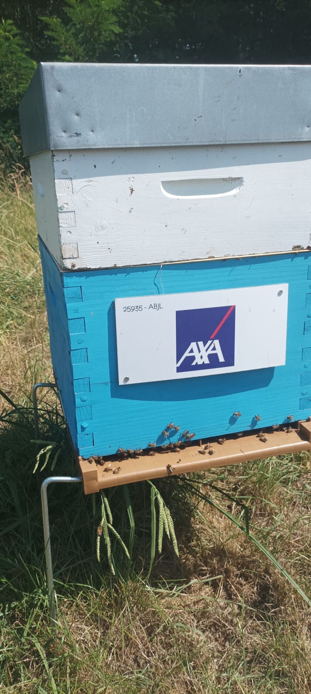 La ruche AXA au Cœur des Territoires (ACT)