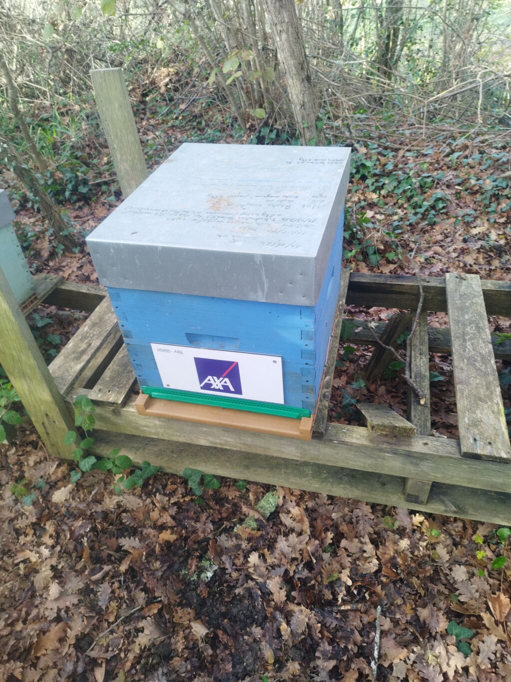 La ruche AXA au Cœur des Territoires (ACT)