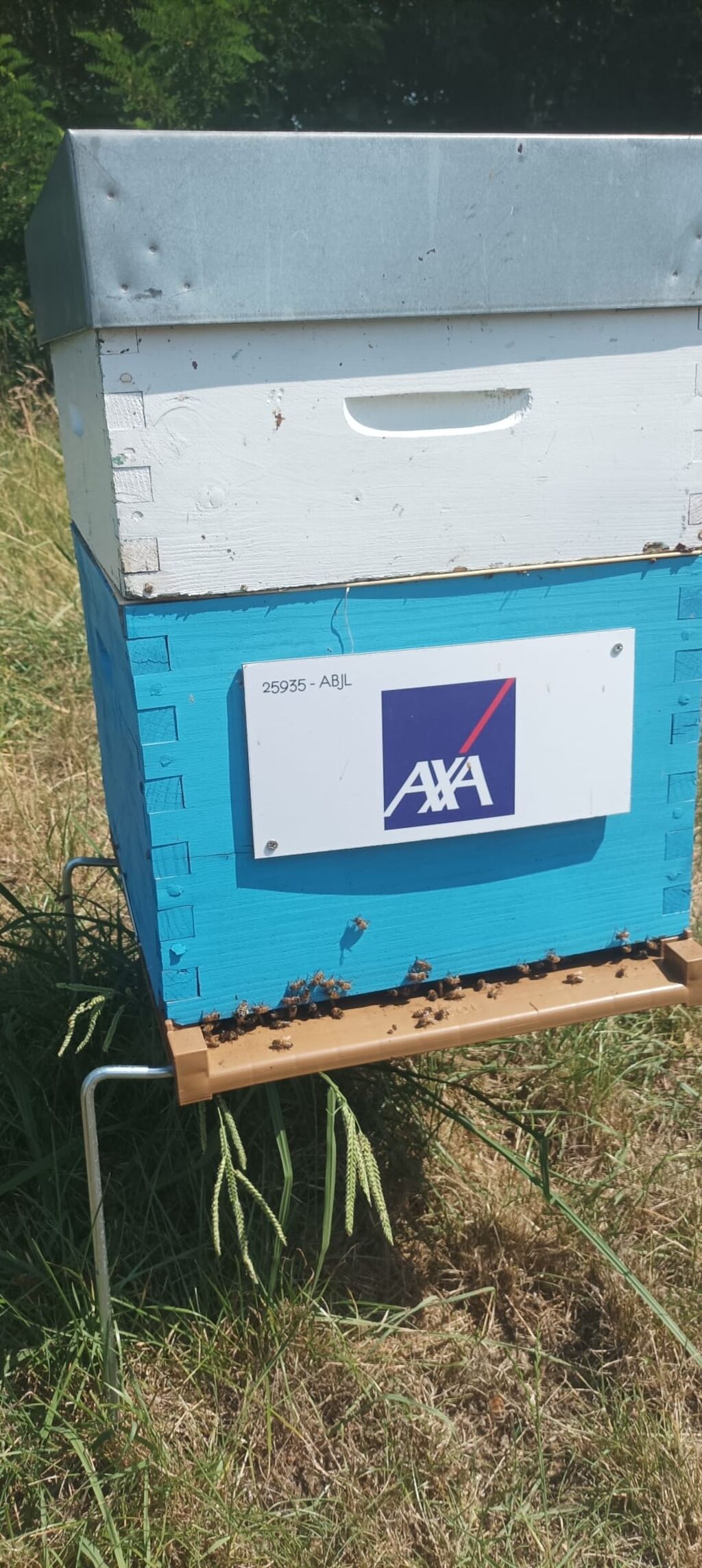 La ruche AXA au Cœur des Territoires (ACT)