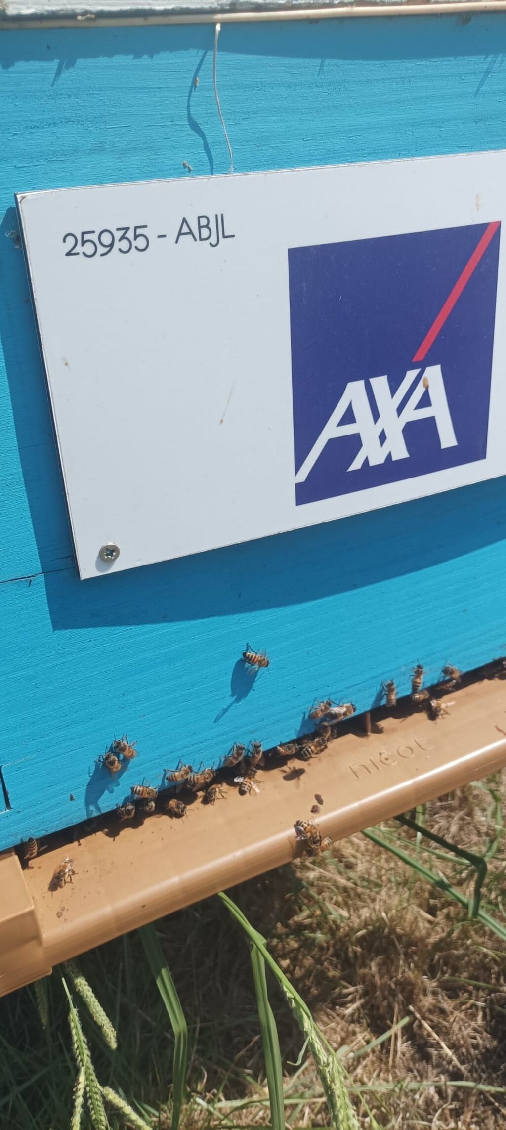 La ruche AXA au Cœur des Territoires (ACT)
