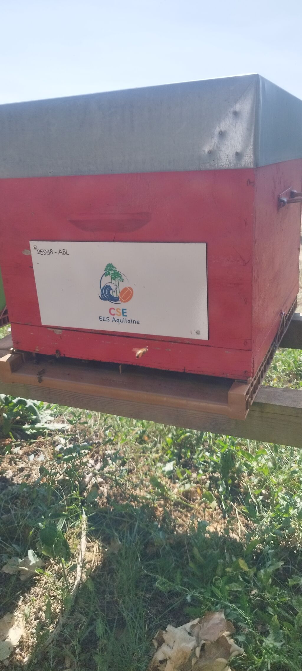 La ruche Eiffage Energie Systèmes