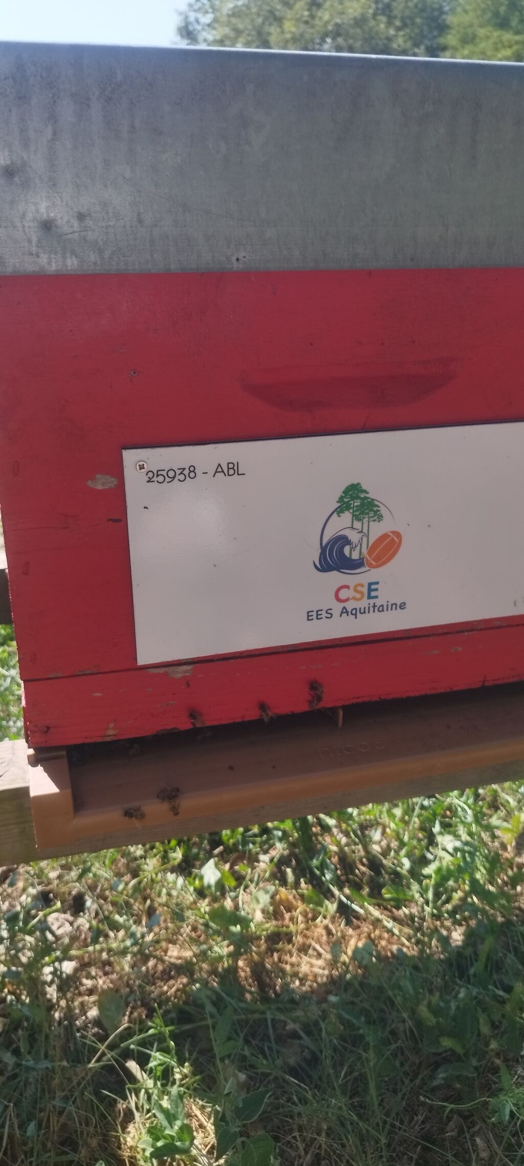 La ruche Eiffage Energie Systèmes