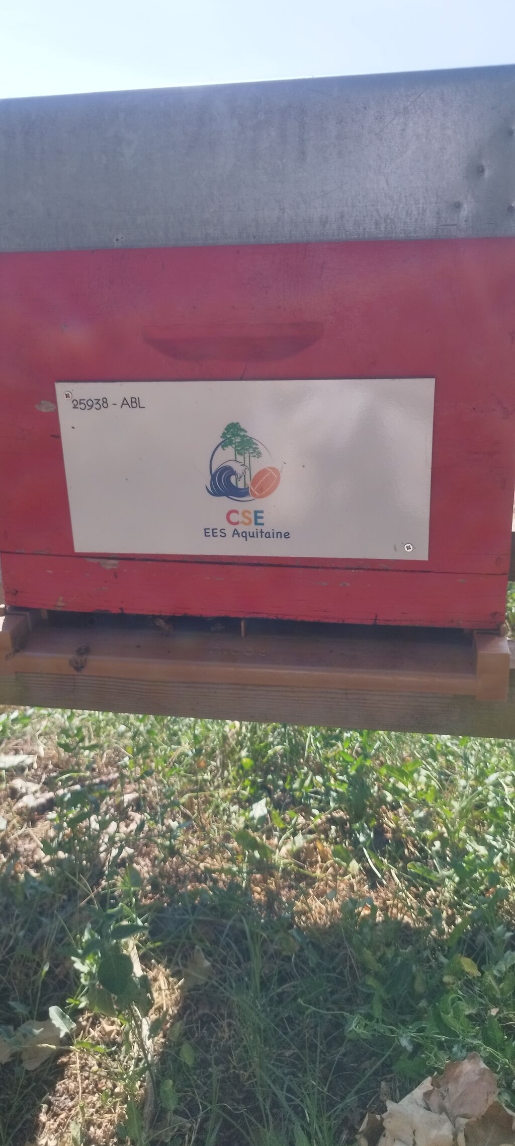 La ruche Eiffage Energie Systèmes