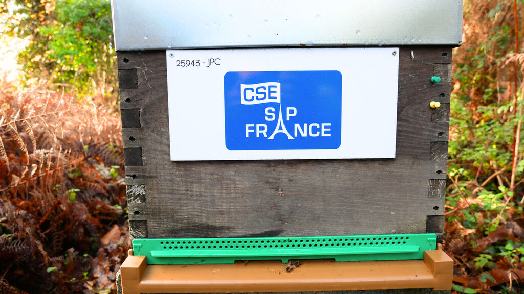 La ruche CSE SAP France