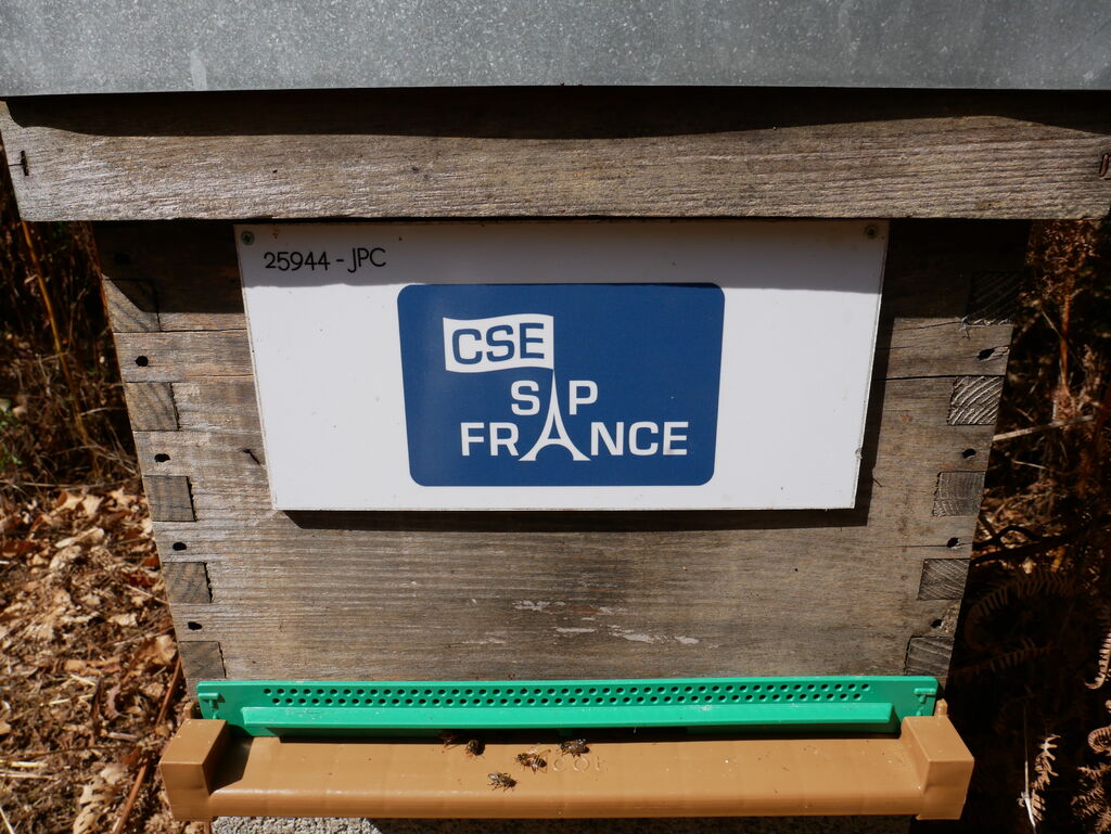 La ruche CSE SAP France