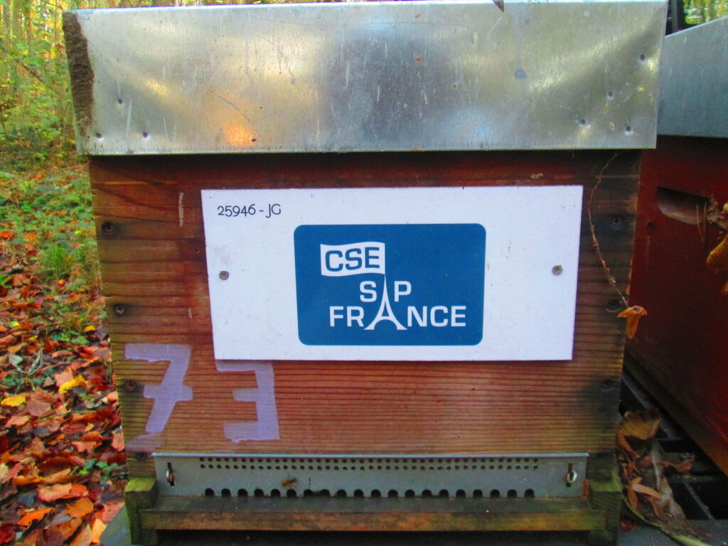 La ruche CSE SAP France