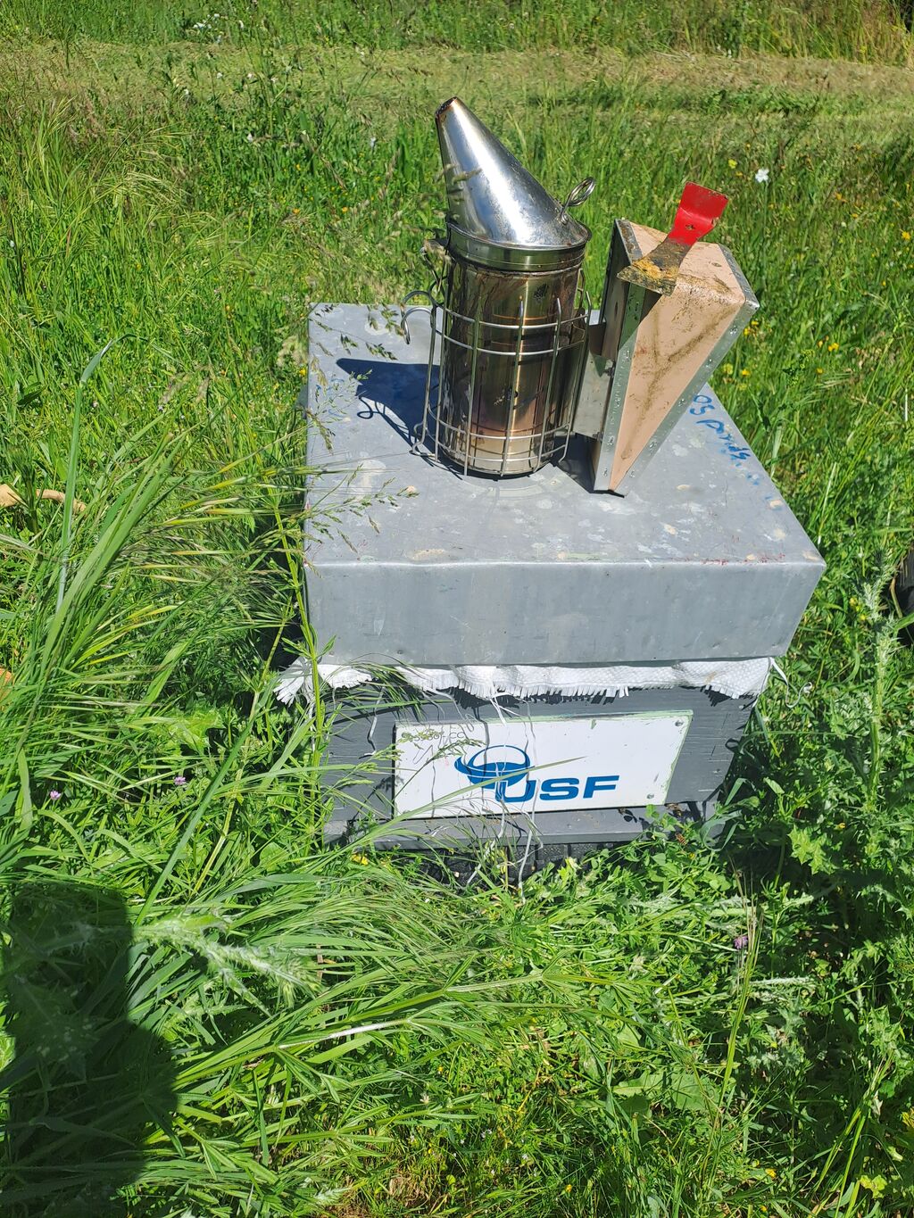 La ruche USF
