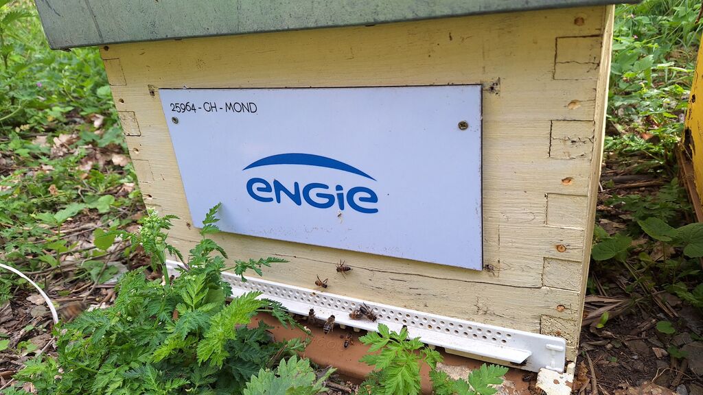 La ruche ENGIE - MPPA