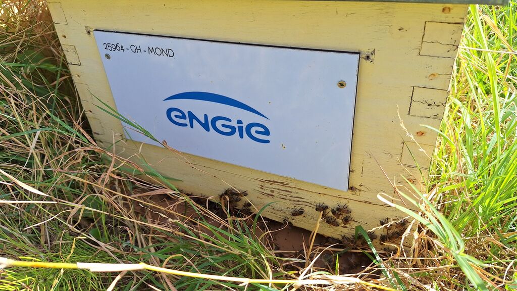 La ruche ENGIE - MPPA
