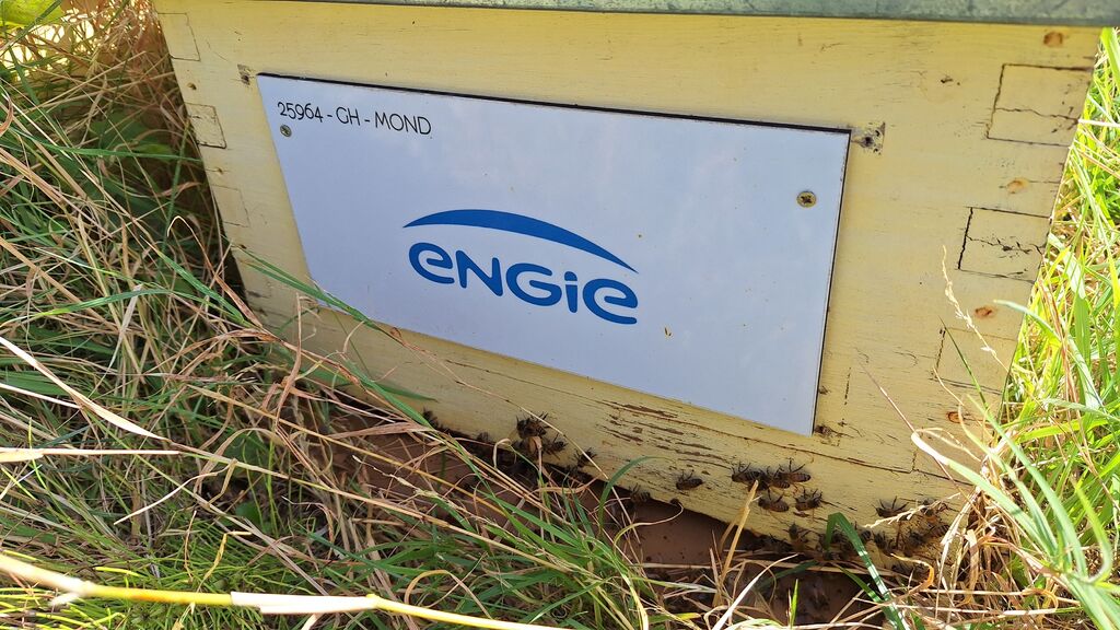 La ruche ENGIE - MPPA