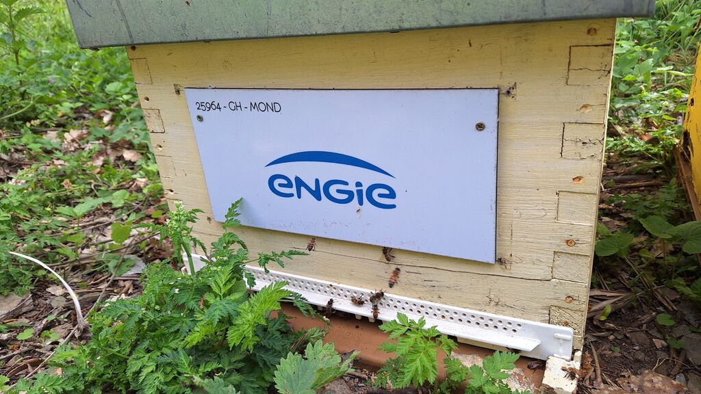 La ruche ENGIE - MPPA