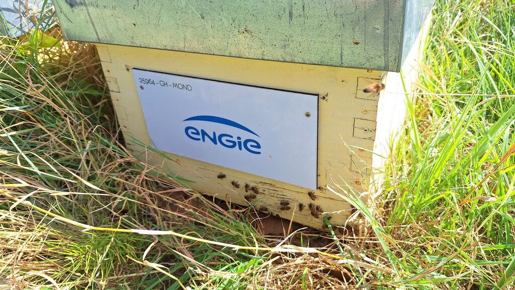 La ruche ENGIE - MPPA