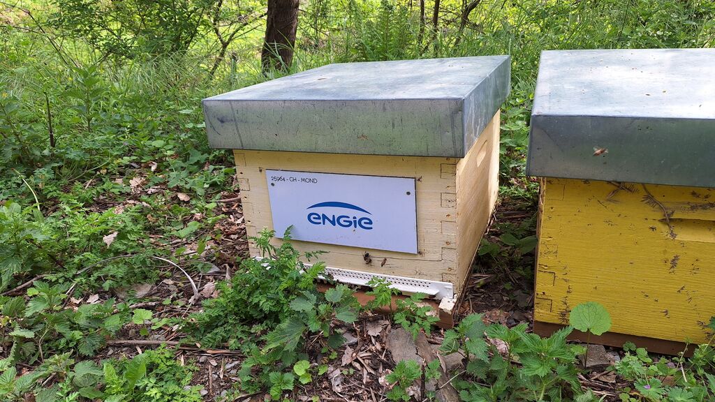 La ruche ENGIE - MPPA