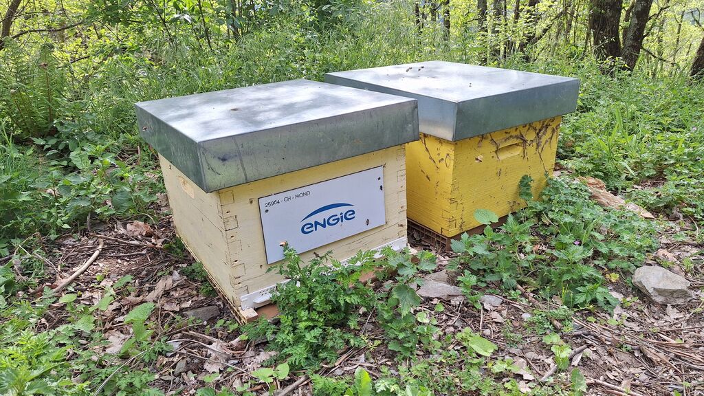 La ruche ENGIE - MPPA