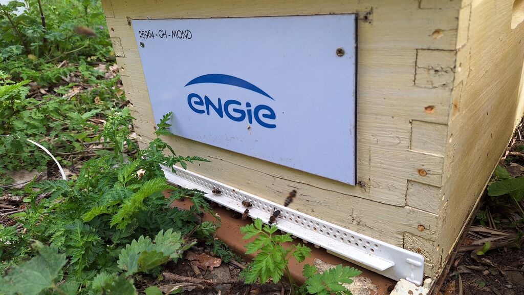 La ruche ENGIE - MPPA
