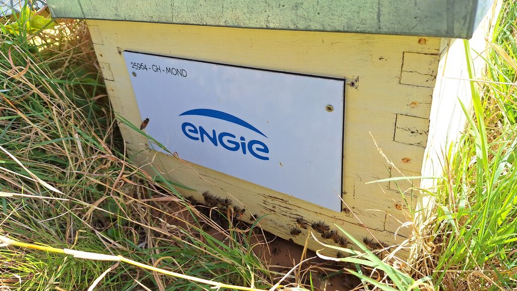 La ruche ENGIE - MPPA