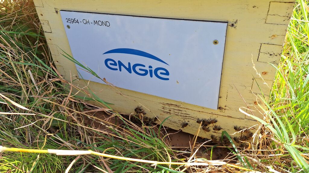 La ruche ENGIE - MPPA