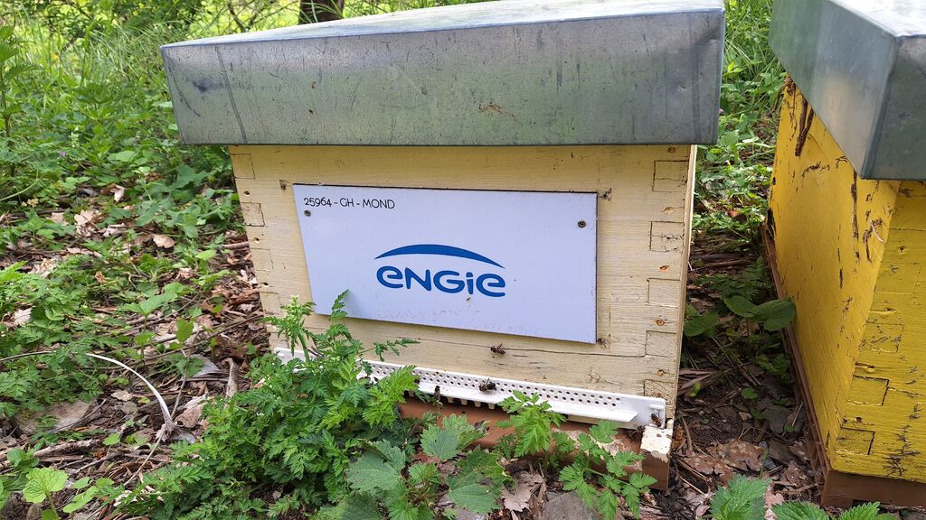 La ruche ENGIE - MPPA