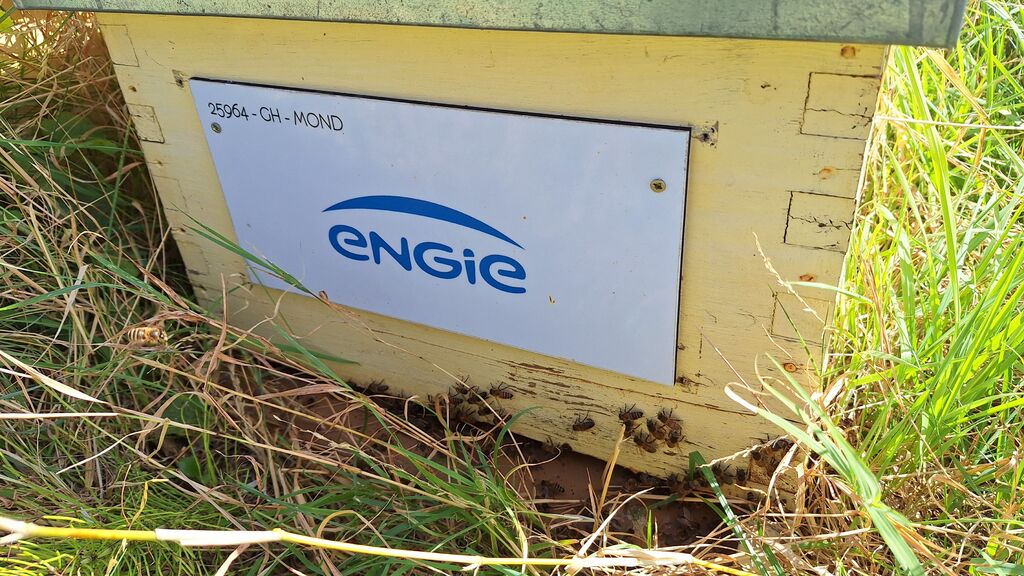La ruche ENGIE - MPPA