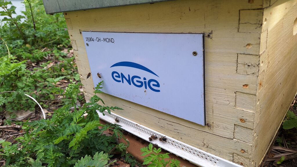 La ruche ENGIE - MPPA