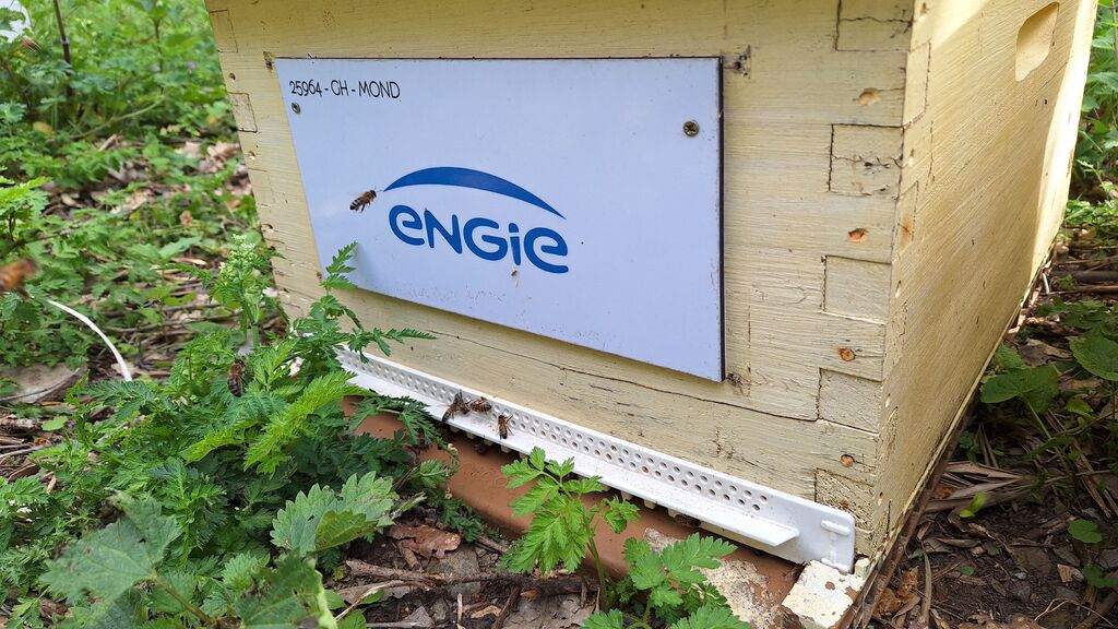 La ruche ENGIE - MPPA