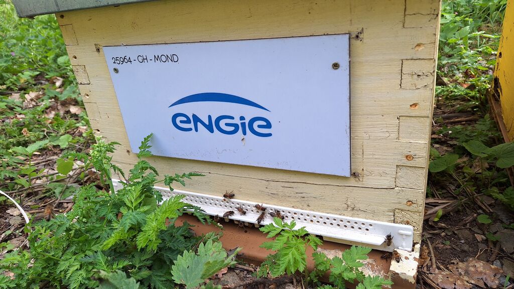 La ruche ENGIE - MPPA