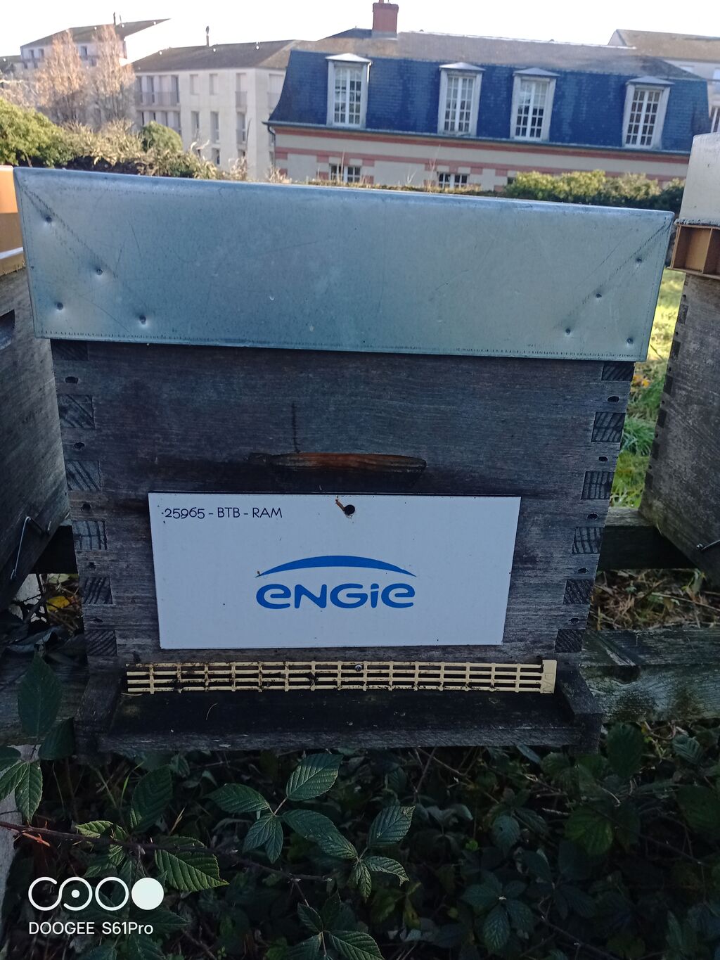 La ruche ENGIE - MPPA