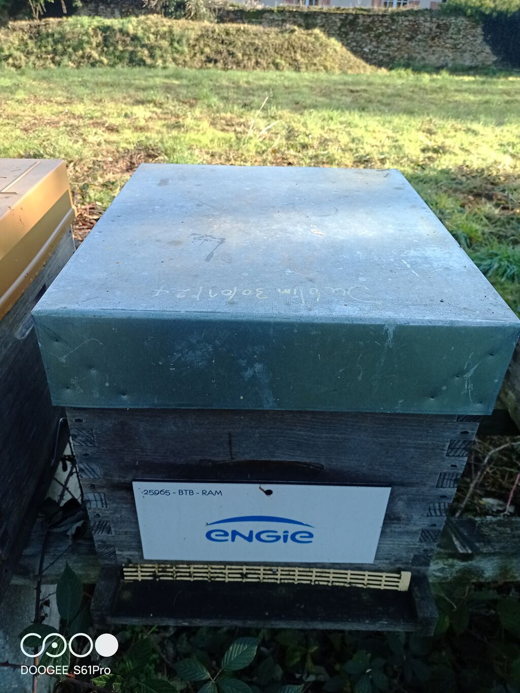 La ruche ENGIE - MPPA