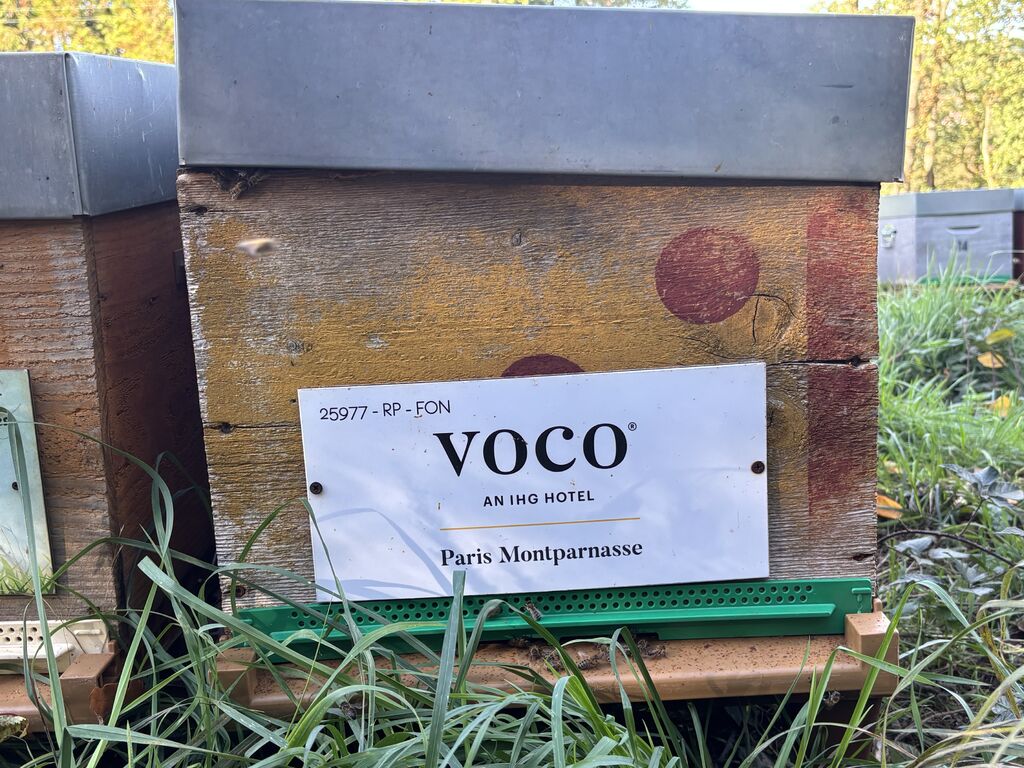 La ruche VOCO PARIS MONTPARNASSE