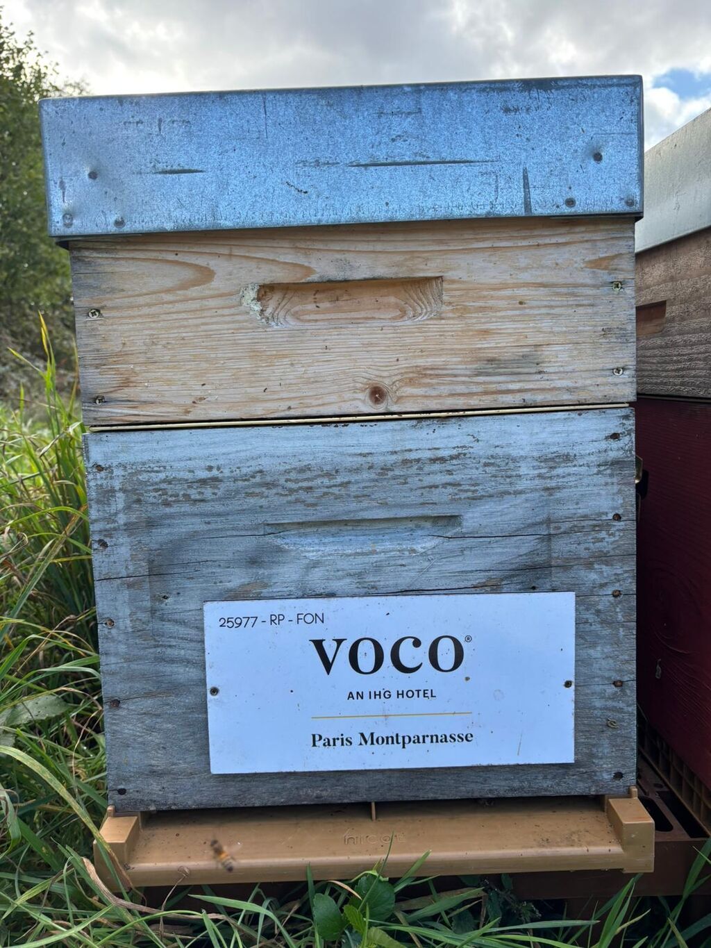 La ruche VOCO PARIS MONTPARNASSE