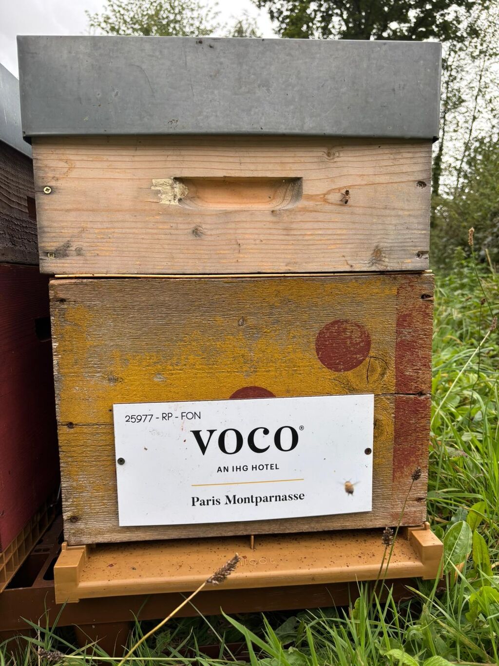 La ruche VOCO PARIS MONTPARNASSE