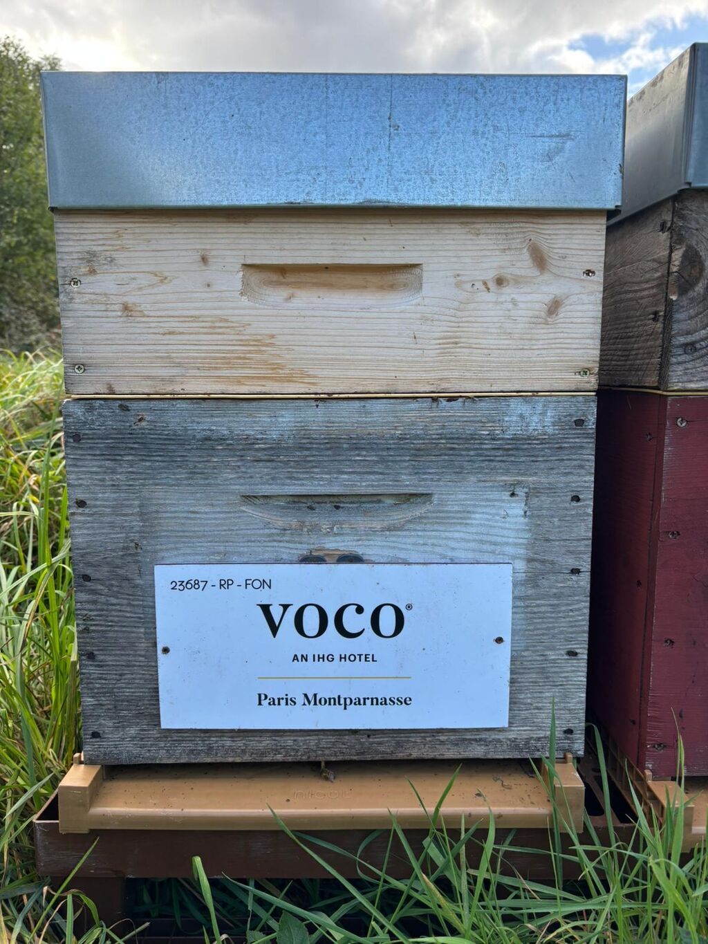 La ruche VOCO PARIS MONTPARNASSE