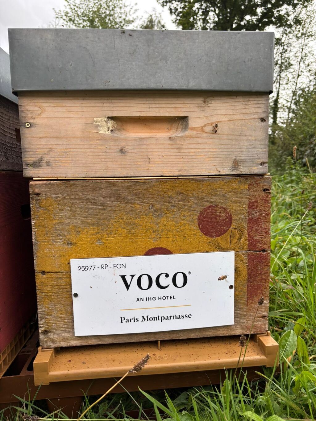 La ruche VOCO PARIS MONTPARNASSE