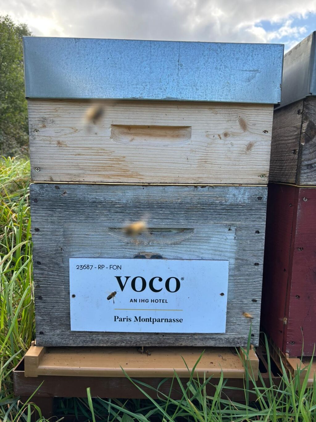 La ruche VOCO PARIS MONTPARNASSE