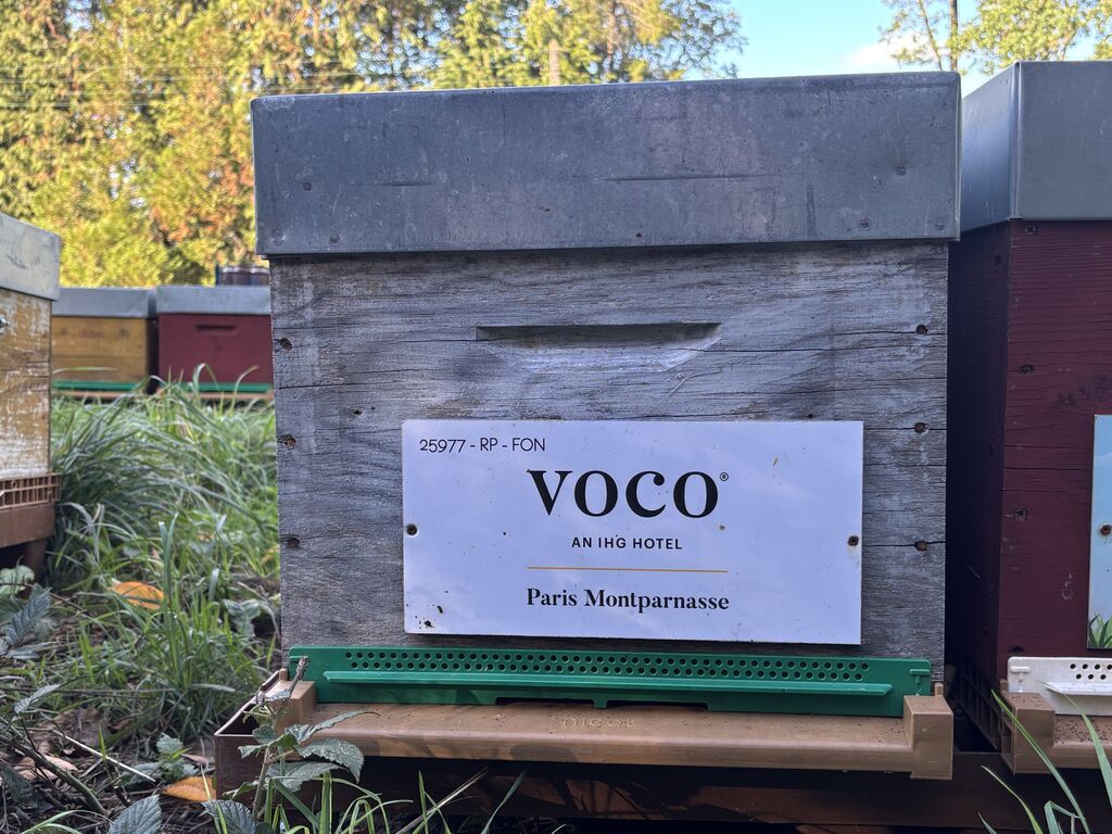 La ruche VOCO PARIS MONTPARNASSE