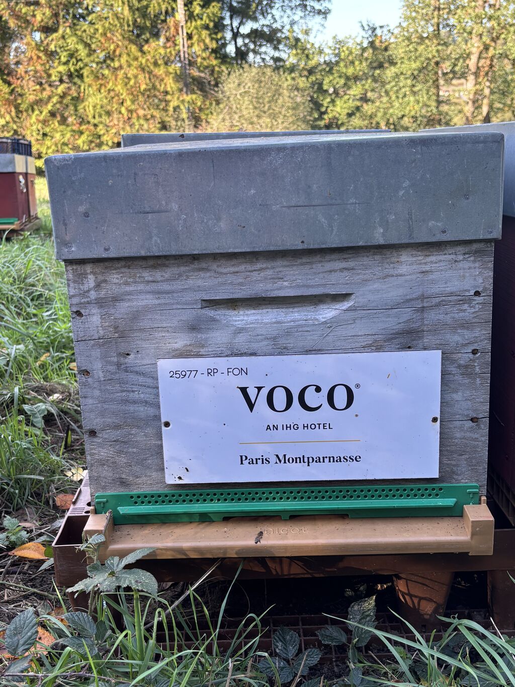 La ruche VOCO PARIS MONTPARNASSE