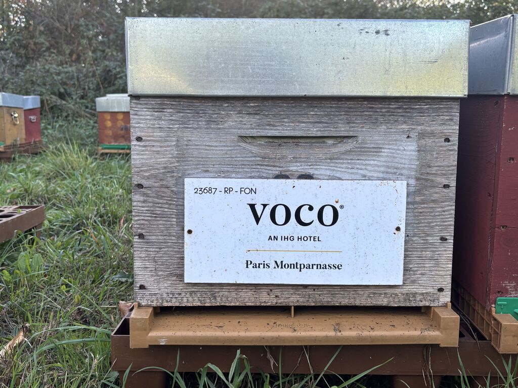 La ruche VOCO PARIS MONTPARNASSE