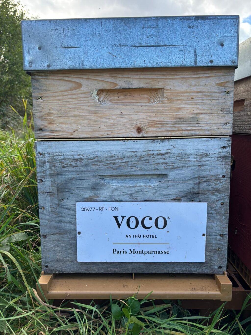 La ruche VOCO PARIS MONTPARNASSE