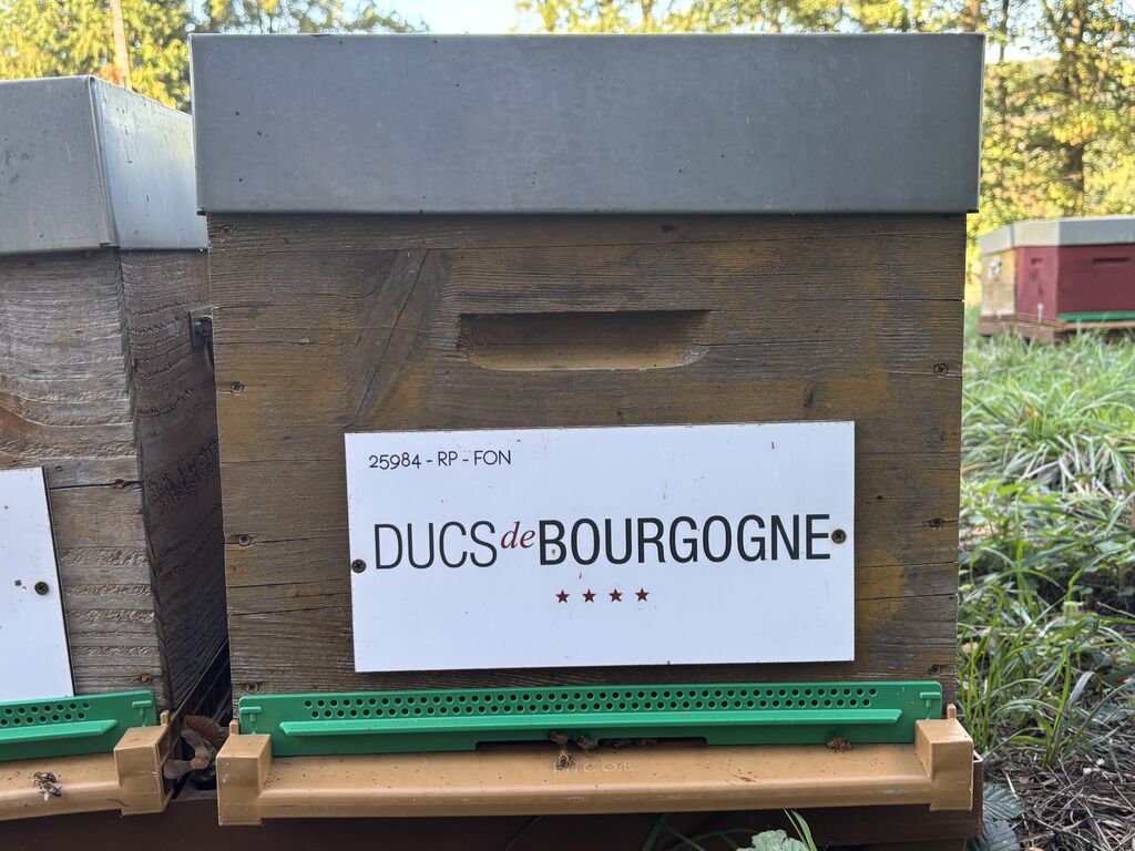 La ruche DUCS DE BOURGOGNE