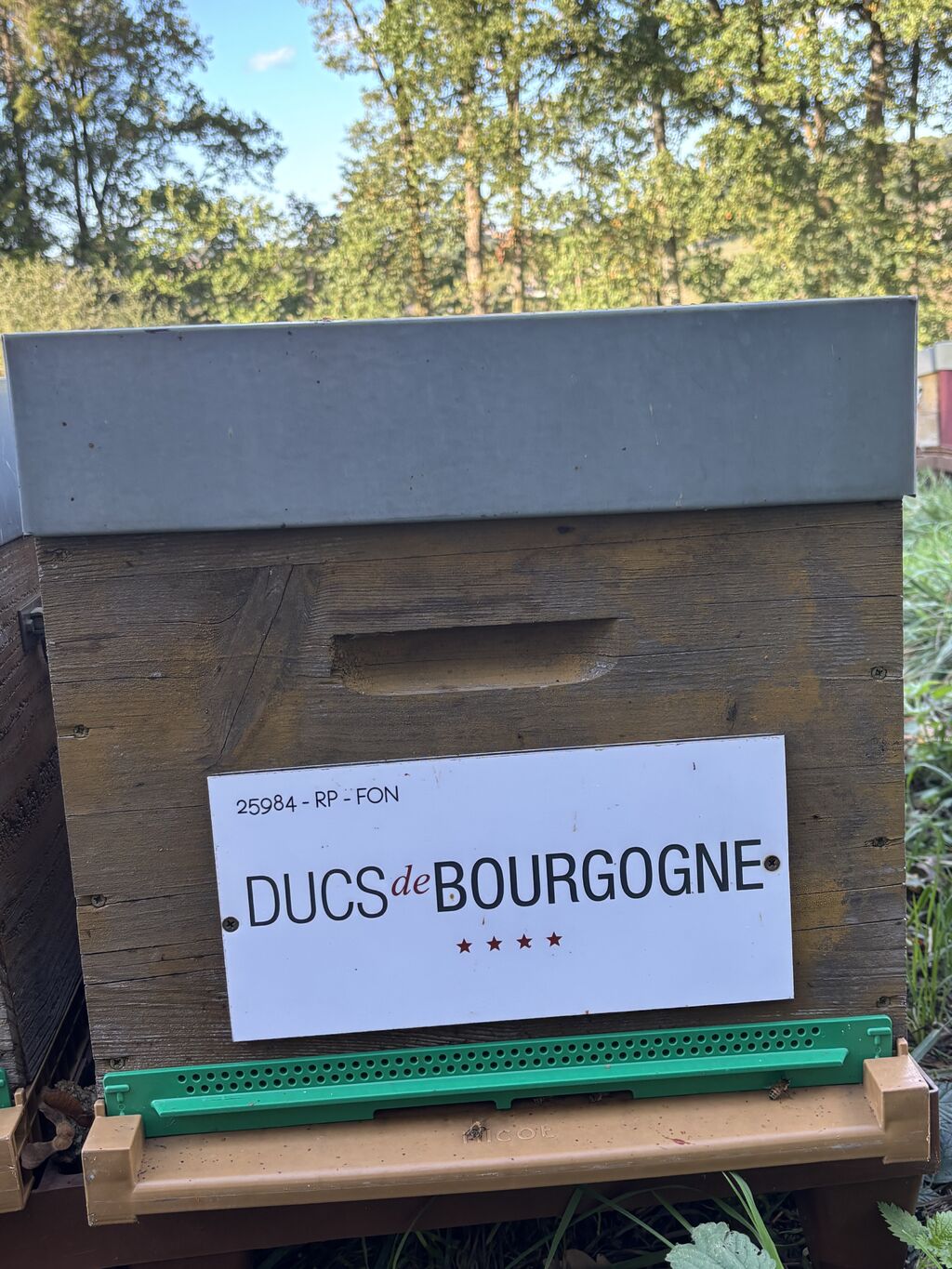 La ruche DUCS DE BOURGOGNE