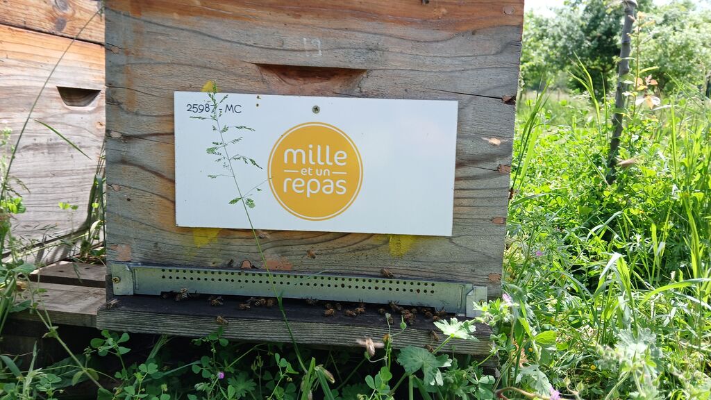 La ruche MILLE ET UN REPAS