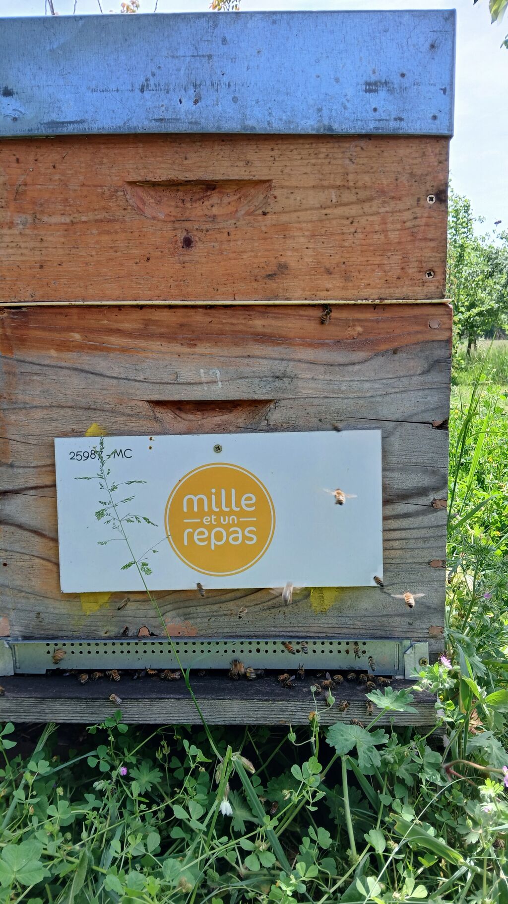 La ruche MILLE ET UN REPAS