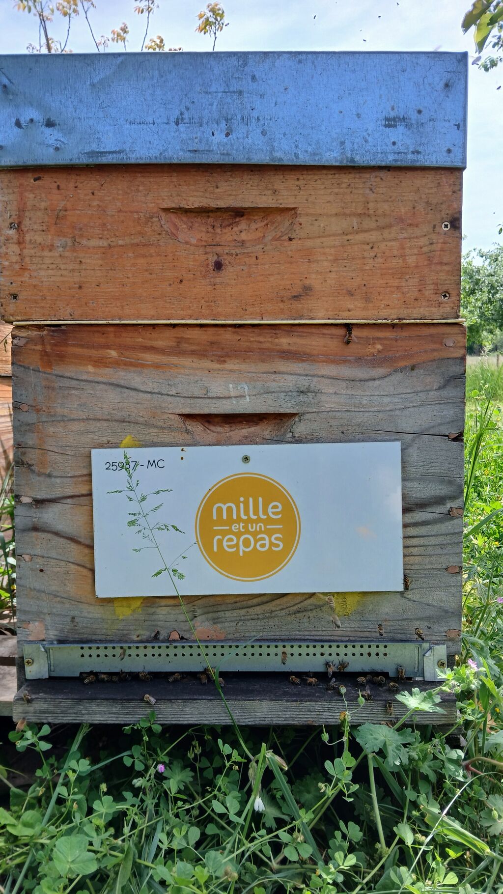 La ruche MILLE ET UN REPAS